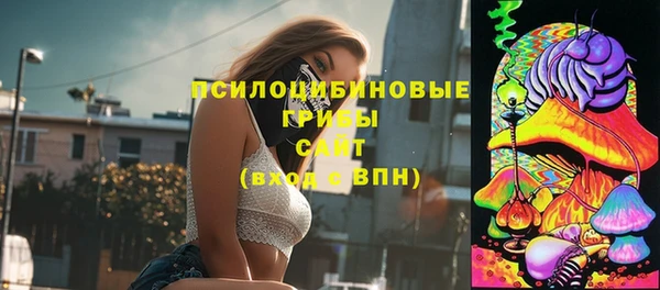 прущий лед Надым
